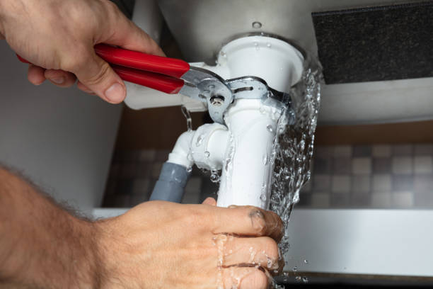 Best Professional water damage repair  in Chelsea, MA