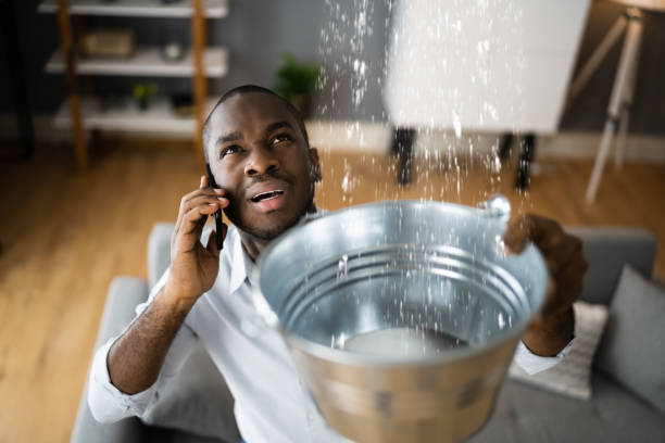 Best Flooded house restoration  in Chelsea, MA