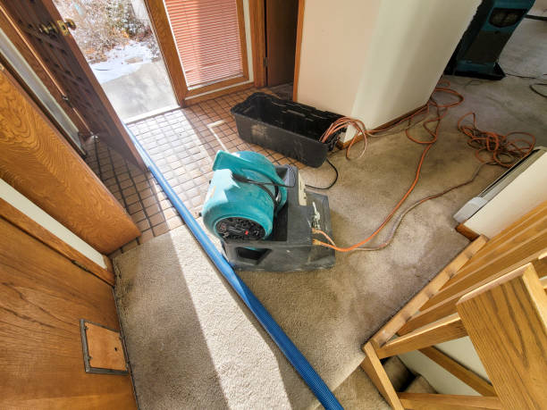 Professional Water damage restoration in Chelsea, MA