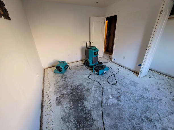 Best 24/7 water damage repair  in Chelsea, MA