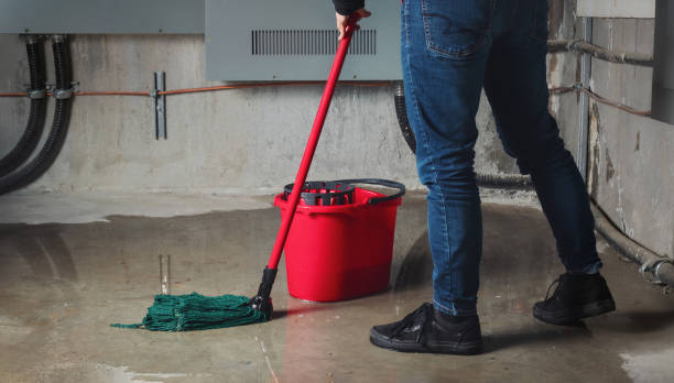 Best Flood damage cleanup  in Chelsea, MA