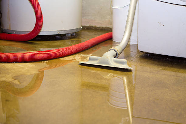 Best Water damage restoration near me  in Chelsea, MA