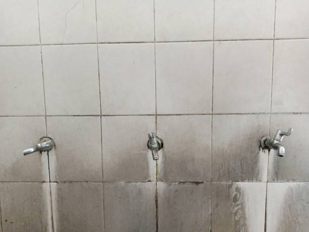 Best Local water damage restoration  in Chelsea, MA